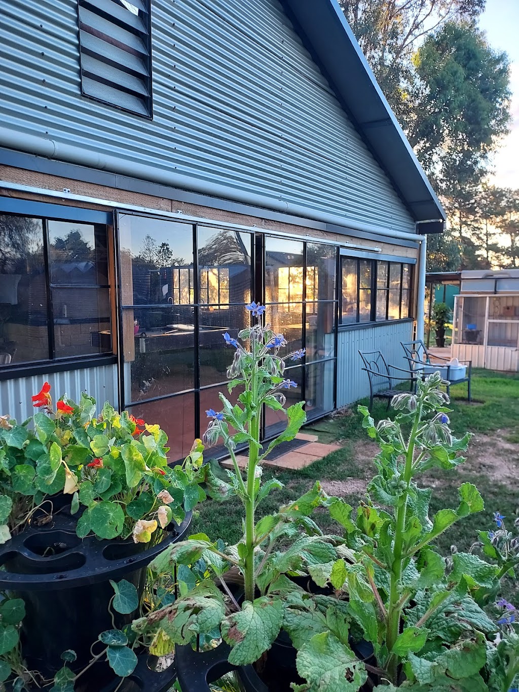 The Farm Hub | 50 Havilah Park Rd, Little Plain NSW 2360, Australia | Phone: (02) 6722 4347