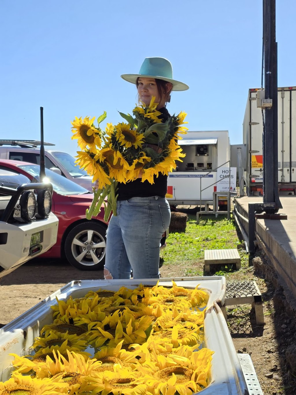 Sunflowers On Kents | 10 Kents Lagoon Rd, Kalbar QLD 4309, Australia | Phone: 0408 789 459
