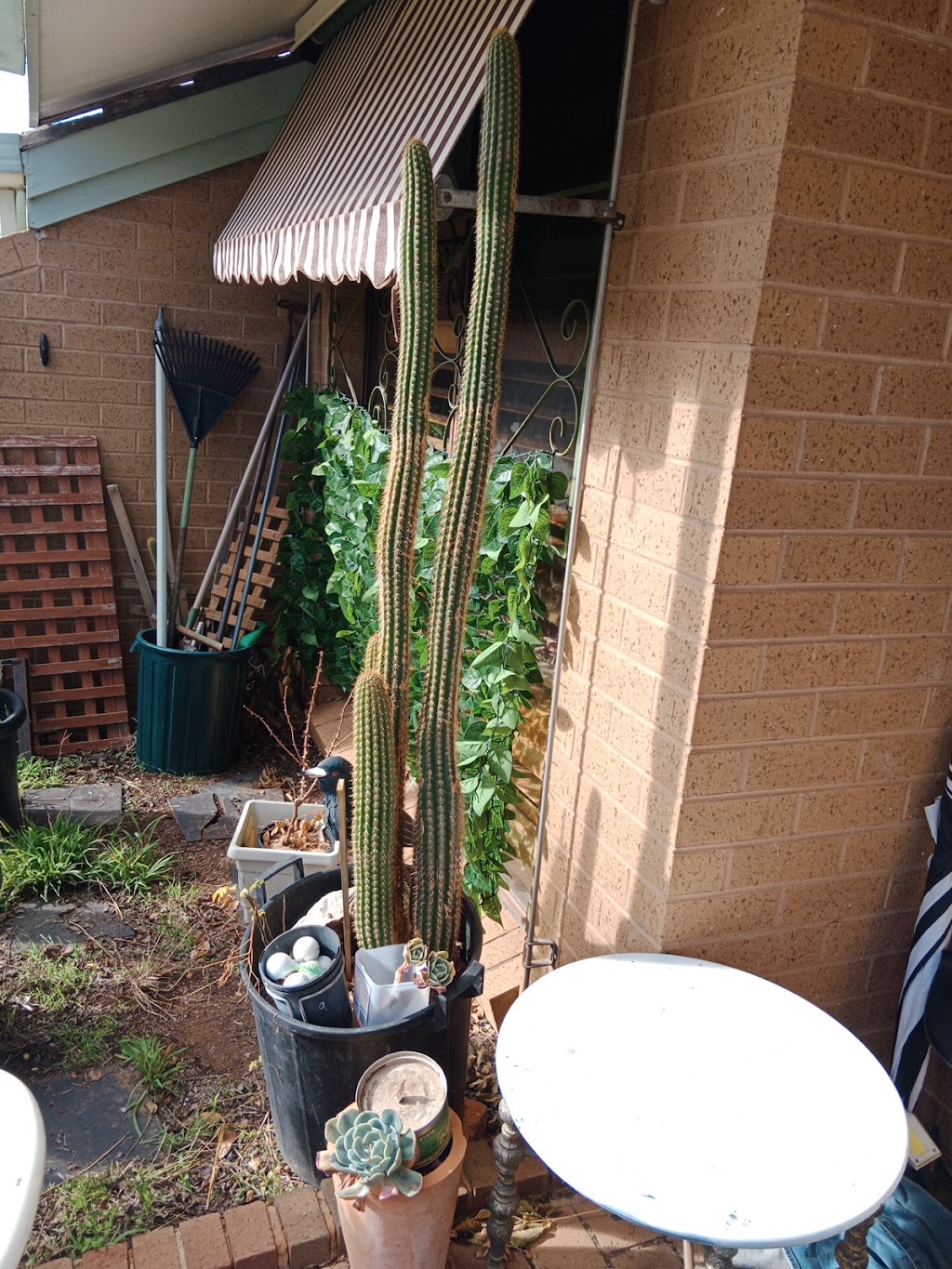 CITAS CHAIR | 26 Crespigny St, Talbot VIC 3371, Australia | Phone: 0460 892 347