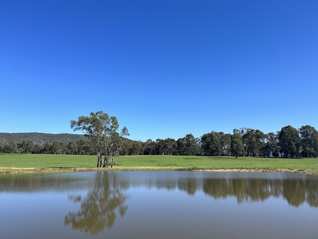 FFP Rural Contracting | 39 Gandini Ln, Lima South VIC 3673, Australia | Phone: 0429 866 162