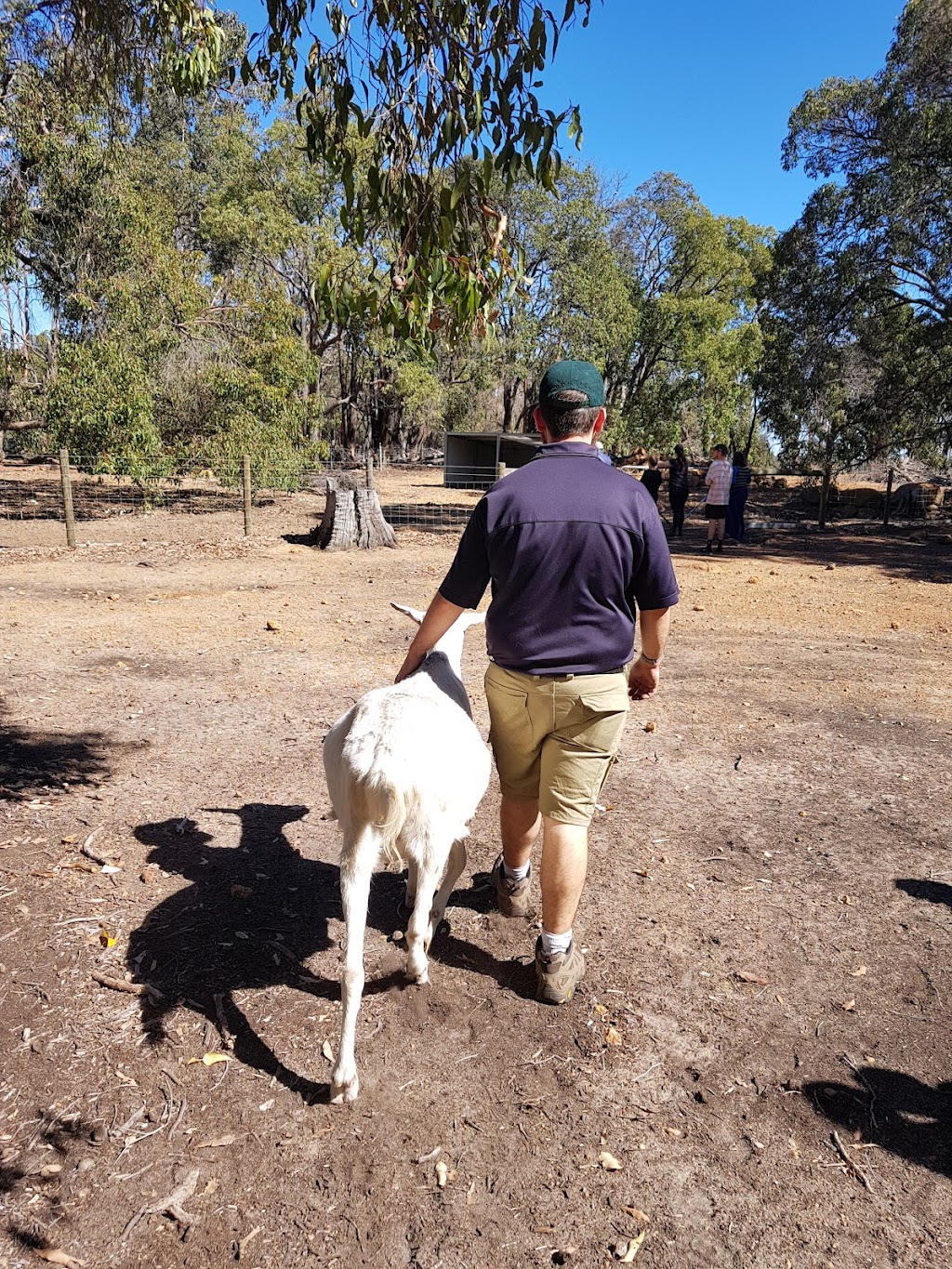 Happy Hooves Farm Sanctuary | 405 Clenton Rd, Gidgegannup WA 6083, Australia | Phone: 0439 976 921