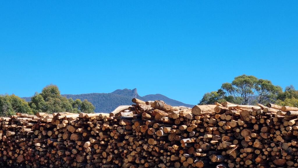 Firewood Devils | Huon Hwy, Leslie Vale TAS 7054, Australia | Phone: (03) 6239 6891