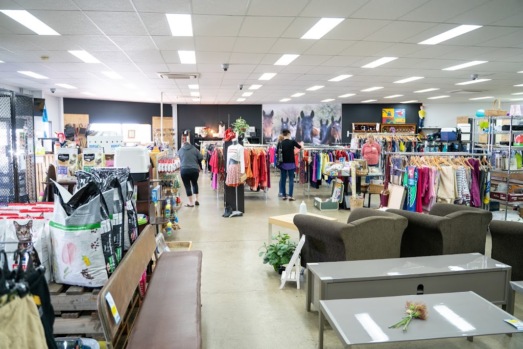 RSPCA Op Shop - Toowoomba | store | 1/900 Ruthven St, Kearneys Spring QLD 4350, Australia | 0746360004 OR +61 7 4636 0004