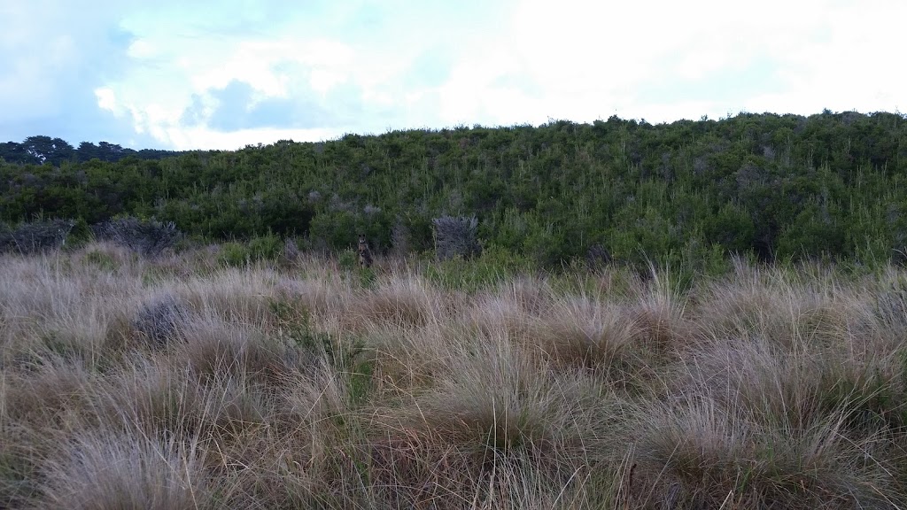 Scenic Estate Conservation Reserve | Boobialla Rd, Surf Beach VIC 3922, Australia