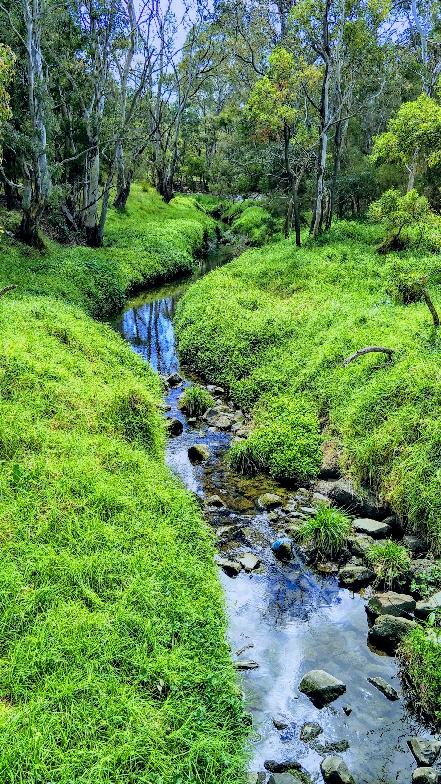 Fotheringham Reserve (Conservation Area) | park | Alexander Ave, Dandenong VIC 3175, Australia