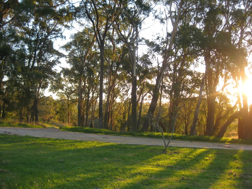 The Pines Pastoral | lodging | Meryla Rd, Moss Vale NSW 2577, Australia | 0418200138 OR +61 418 200 138