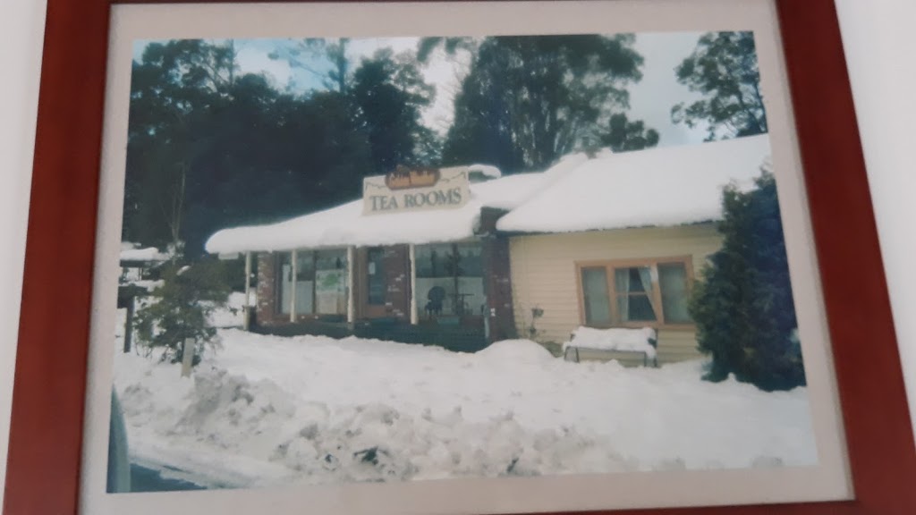 Tarra-Bulga Guest House & Cafe | lodging | 1885 Grand Ridge Rd, Balook VIC 3971, Australia | 0351966141 OR +61 3 5196 6141