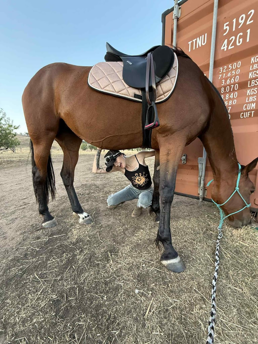 Lockwood Valley Equine | 49 Francis Rd, Lockwood South VIC 3551, Australia | Phone: 0401 572 430