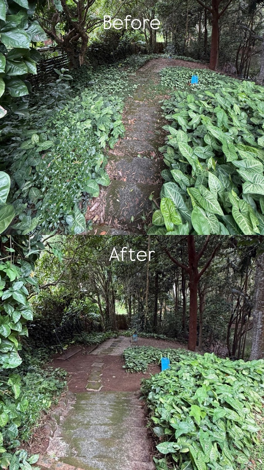 Byron PRO Gardens | 5 Tyagarah Rd, Tyagarah NSW 2481, Australia | Phone: 0452 617 291