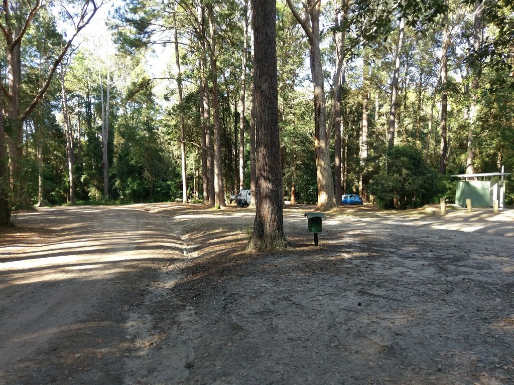 The Pines Camp Ground | campground | Martinsville NSW 2265, Australia