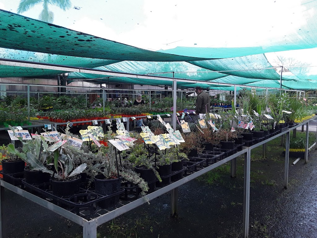 Country Road Nursery | 101 Skinner St, South Grafton NSW 2460, Australia | Phone: (02) 6643 3185