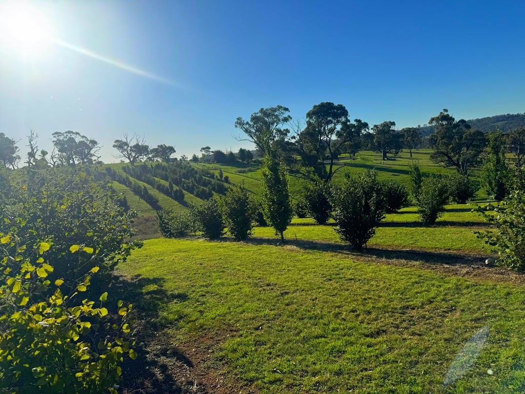 Truffière Duthil | 24 Hopes Rd, Essington NSW 2787, Australia | Phone: 0404 157 822