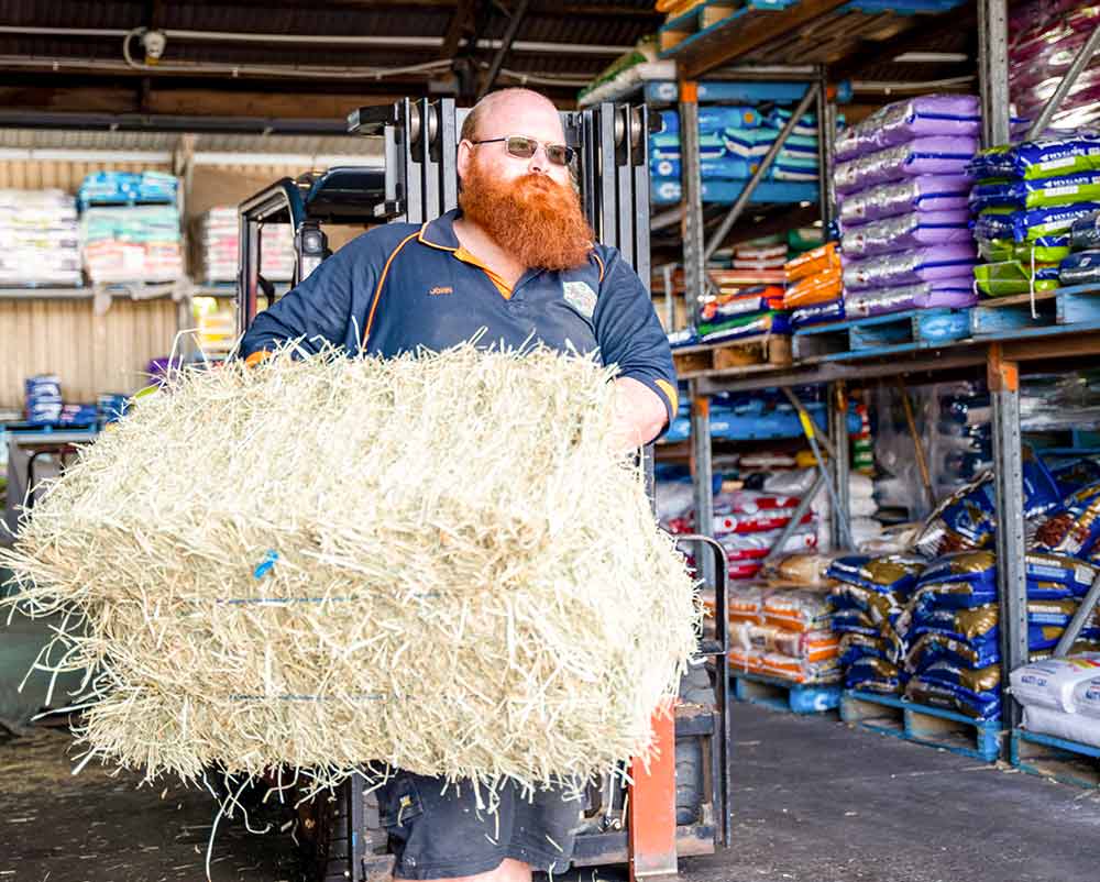 Redmond’s Pet & Livestock Supplies - Laidley | 95 Patrick St, Laidley QLD 4341, Australia | Phone: (07) 5465 8613