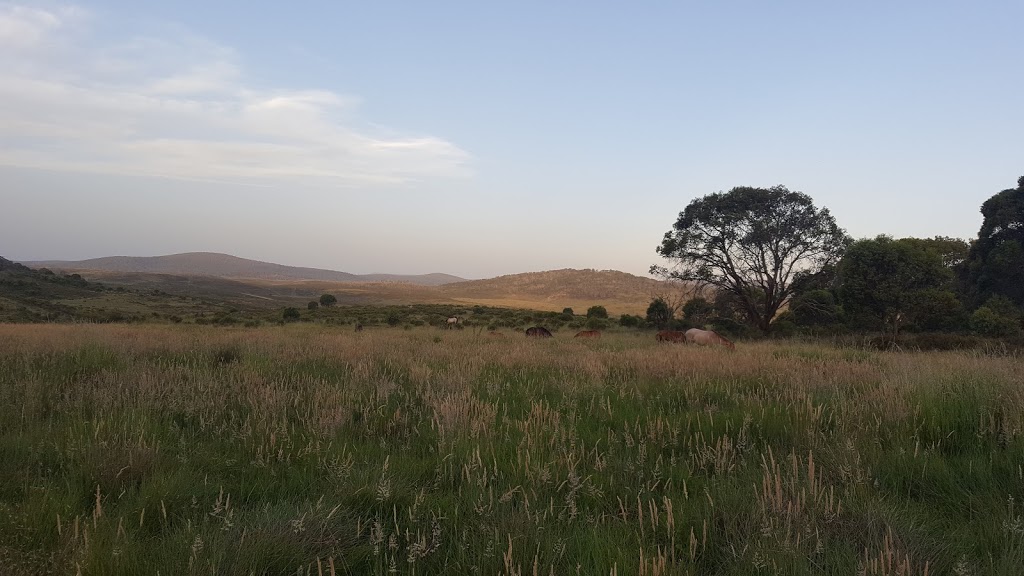 Long Plain Hut | lodging | Long Plain NSW 2629, Australia