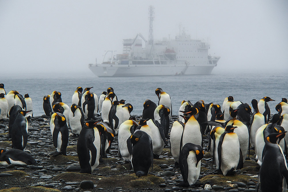 Antarctica Travel Centre | Unit 3/165 High St, Berwick VIC 3806, Australia | Phone: 1300 784 794