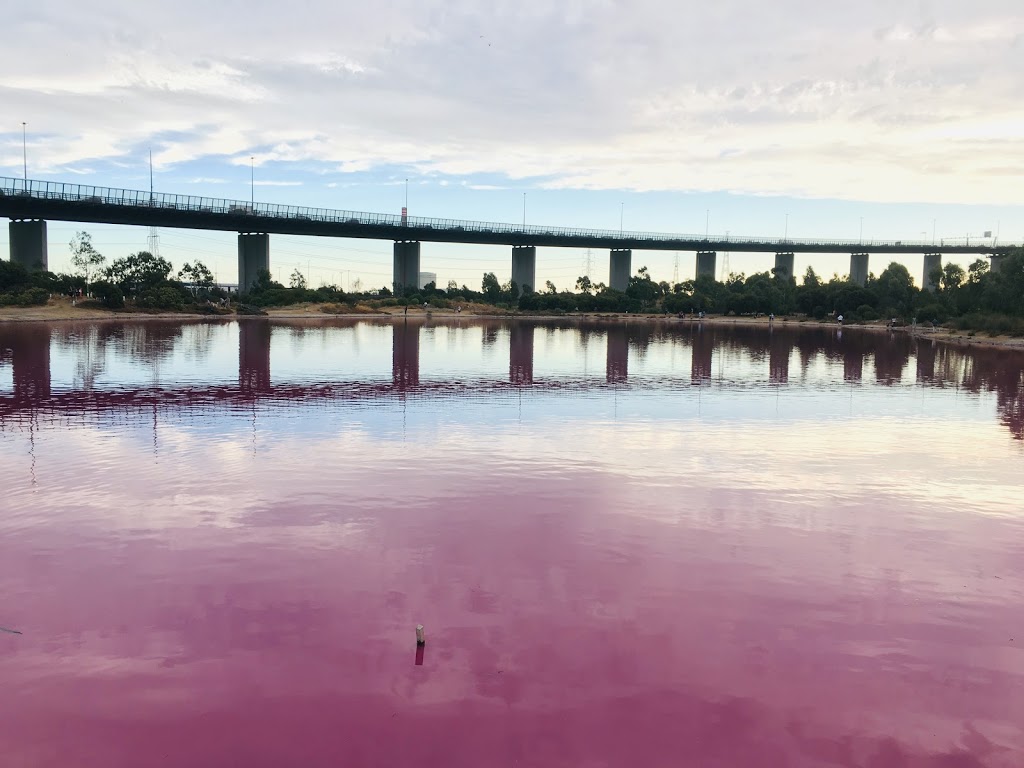 Pink lake Melbourne | park | 4 Wharf Rd, Port Melbourne VIC 3207, Australia