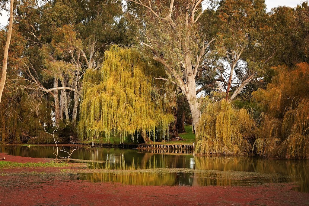 Allie James Photography | 308-284 Archer St, Shepparton VIC 3630, Australia | Phone: 0487 077 578