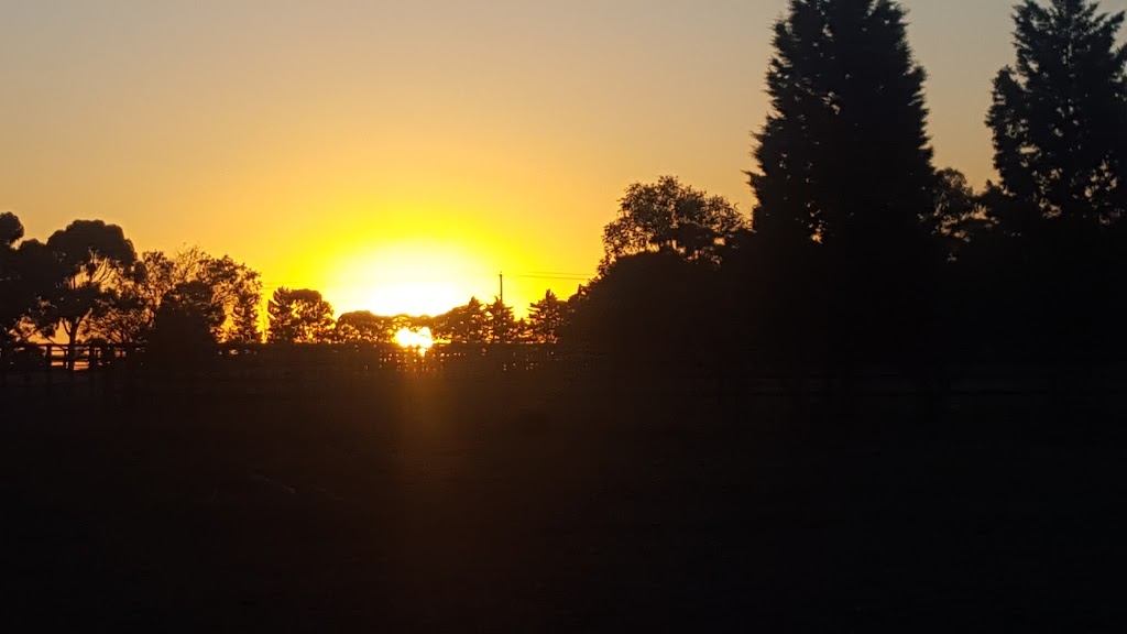 Ribblesdale Stud Farm | 135 Bawtree Rd, Leopold VIC 3224, Australia | Phone: (03) 5250 3235
