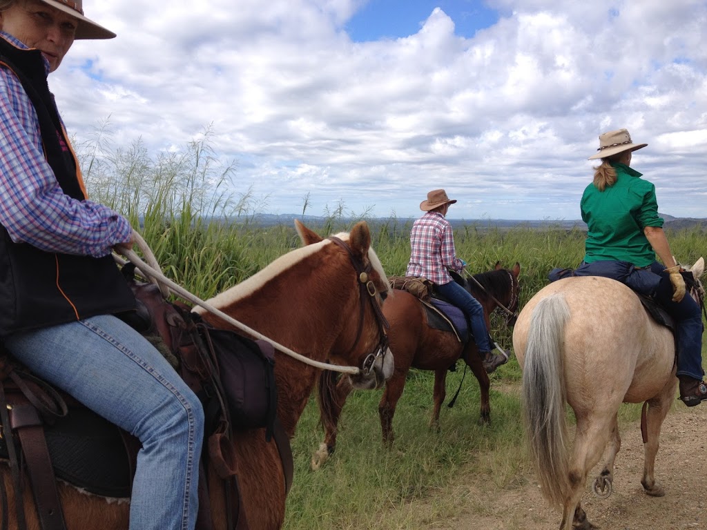 Sunshine Coast Horse Agistment | 40 Binalong Rd, Pinbarren QLD 4568, Australia | Phone: 0402 806 939