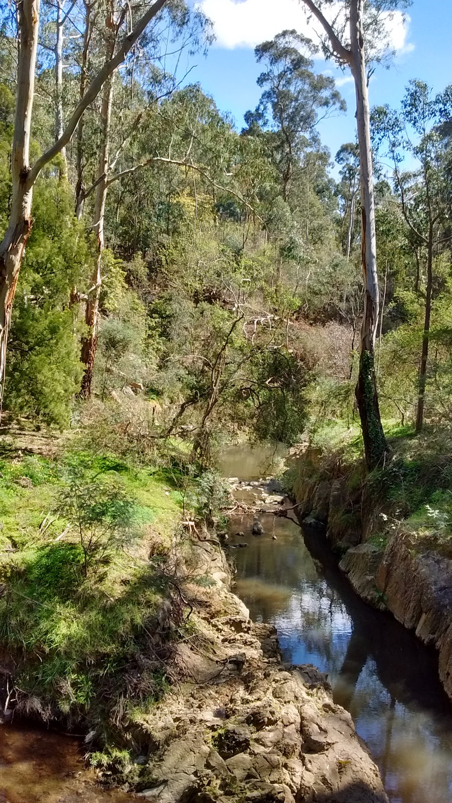 Mullum Mullum Trail | park | 300 Park Rd, Park Orchards VIC 3114, Australia