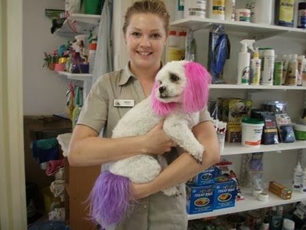 Redgum Vet & Pet Boarding | veterinary care | 24 Woodcock St, Port Augusta SA 5700, Australia | 0886423308 OR +61 8 8642 3308