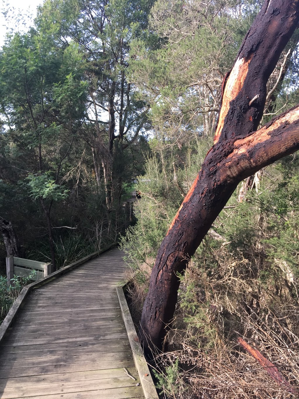 Balcombe Estuary Nature Trail | park | Uralla Rd, Mount Martha VIC 3934, Australia