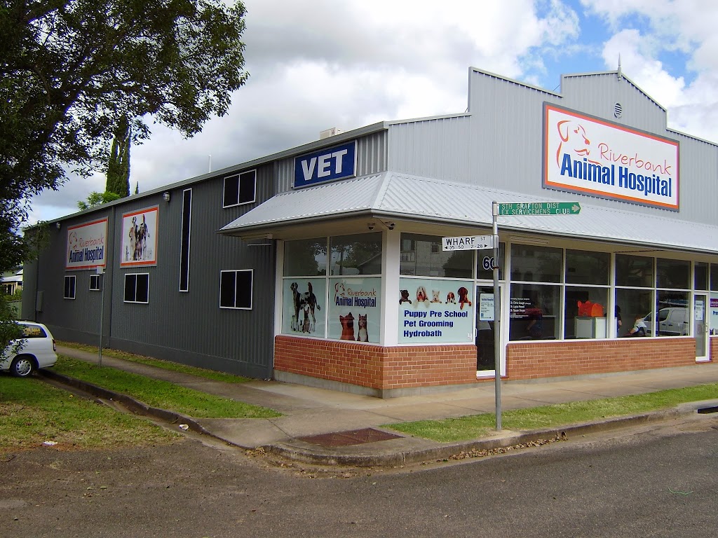 Riverbank Animal Hospital | veterinary care | 60 Through St, South Grafton NSW 2460, Australia | 0266423083 OR +61 2 6642 3083