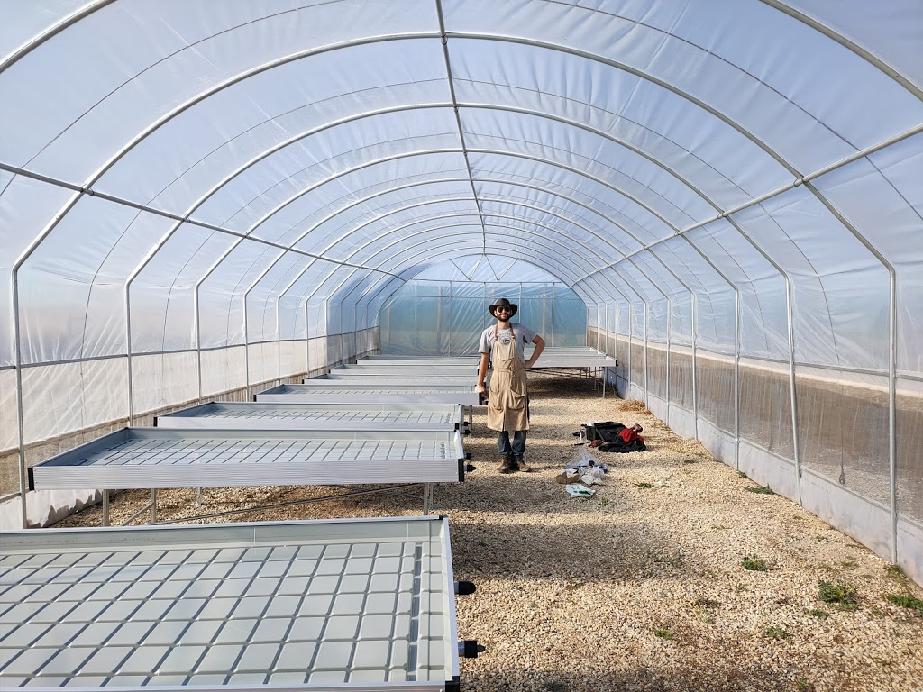 Greenhouse and polytunnels | 1755 Seymour-Tooborac Rd, Glenaroua VIC 3764, Australia | Phone: 0481 152 776