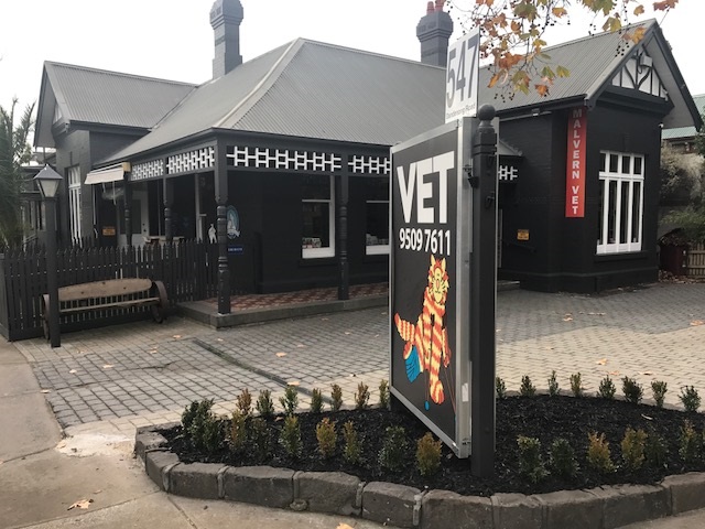 Malvern Vet Hospital | veterinary care | 547 Dandenong Rd, Armadale VIC 3143, Australia | 0395097611 OR +61 3 9509 7611