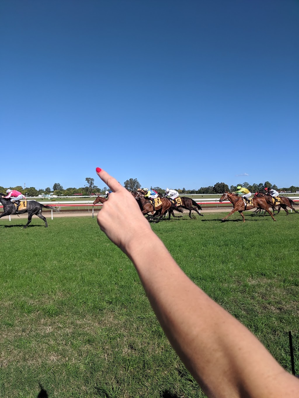 Clarence River Jockey Club |  | Powell St, Grafton NSW 2460, Australia | 0266422566 OR +61 2 6642 2566