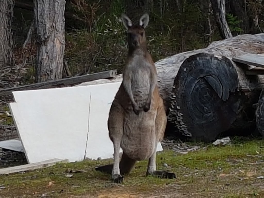 roundtu-it Eco Caravan Park | rv park | 9892 Muirillup Rd, Northcliffe WA 6262, Australia | 0897767276 OR +61 8 9776 7276