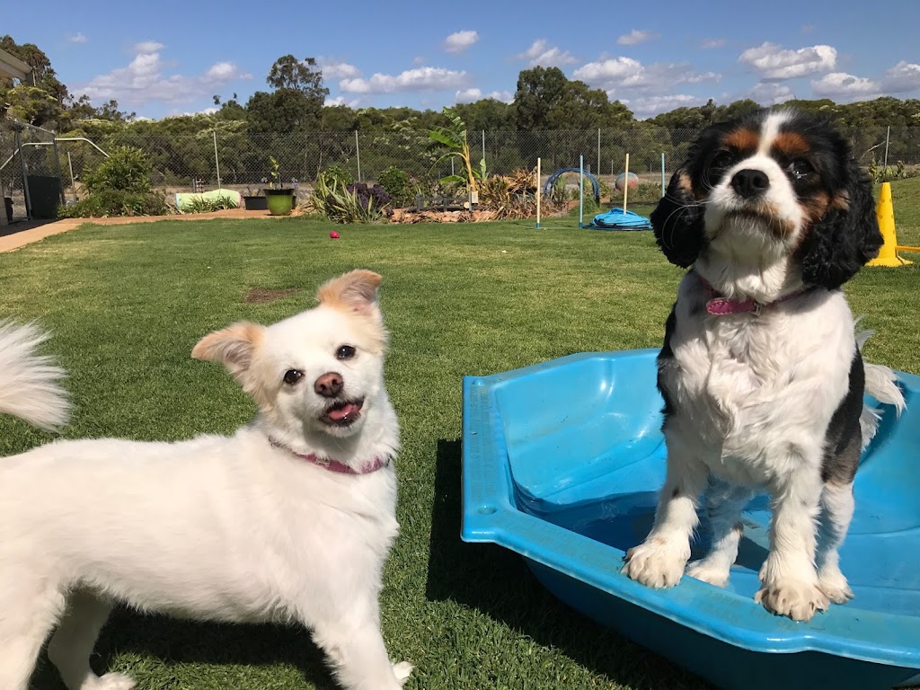 Khatala Pet Lodge |  | 20 Bush Rtt, Nambeelup WA 6207, Australia | 0410396936 OR +61 410 396 936