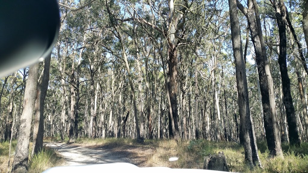 Black Forest | park | Woodend VIC 3442, Australia