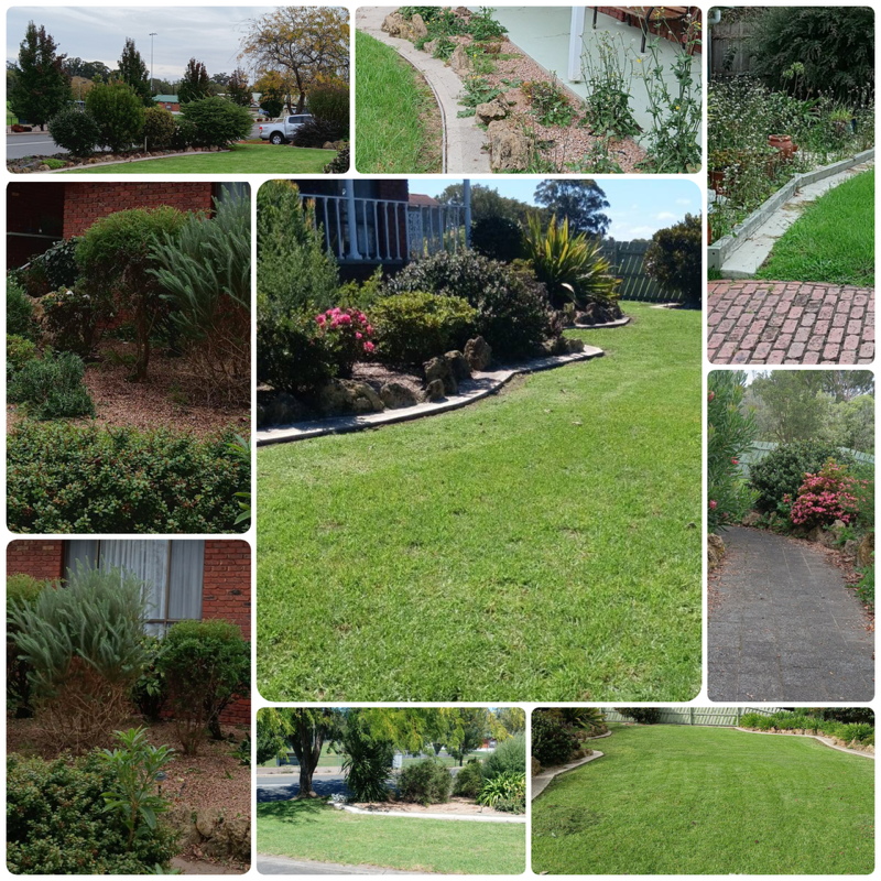 East Gippsland Gardening Service | 49 Tynon St, Orbost VIC 3888, Australia | Phone: 0459 705 134