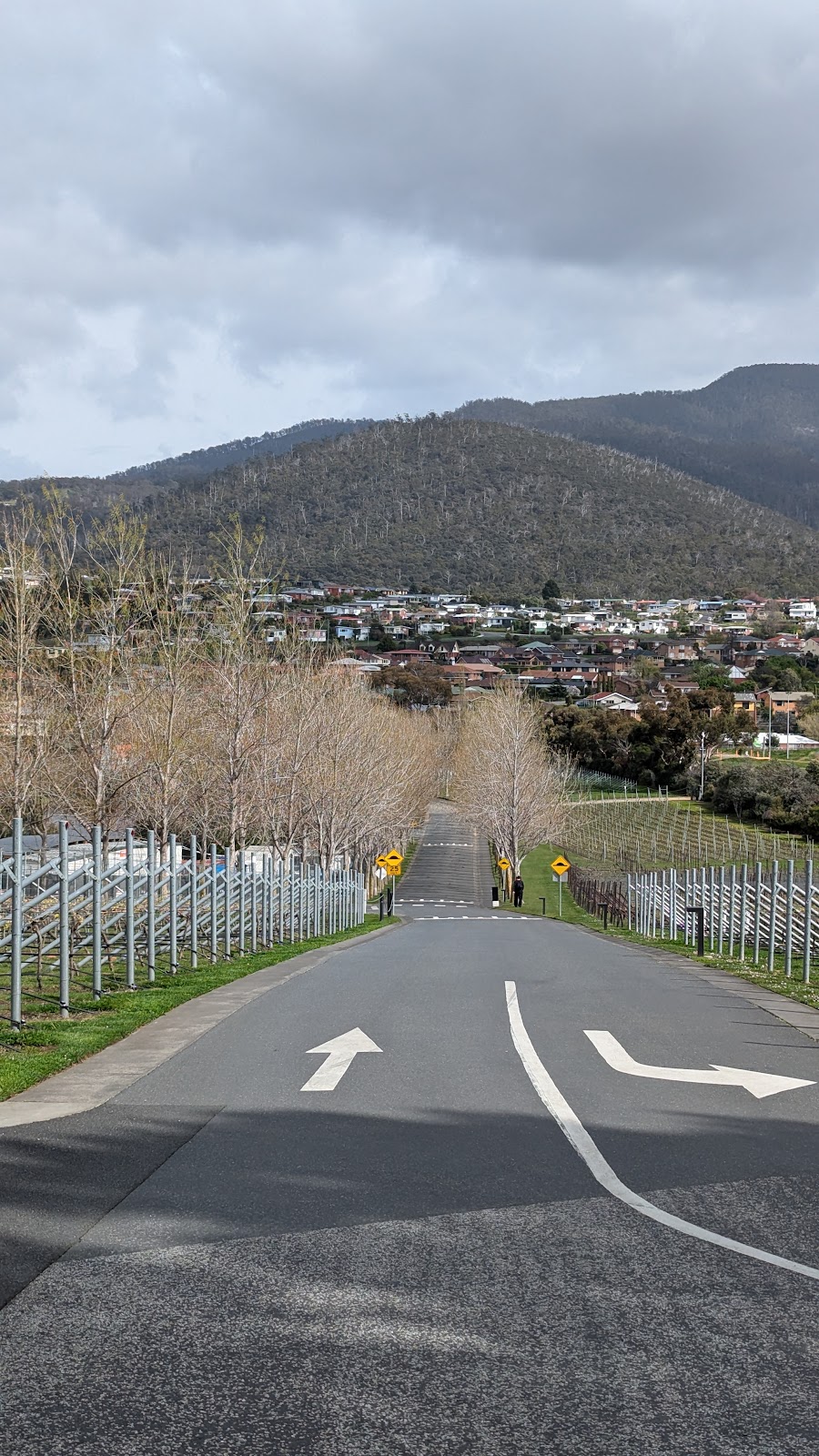 Wineries & Vineyards | 651-655 Main Rd, Berriedale TAS 7011, Australia | Phone: (03) 6277 9900 Wineries & Vineyards | 651-655 Main Rd, Berriedale TAS 7011, Australia | Phone: (03) 6277 9900