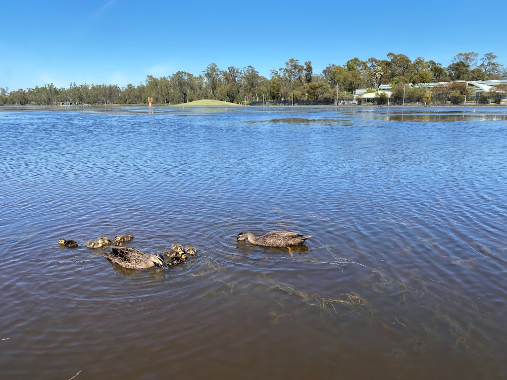 Safe Hands Disability Support Services | 12 Glenmaggie Ave, Kialla VIC 3631, Australia | Phone: 0421 342 455