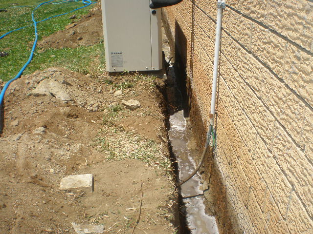 Asset Guard Pest Control | 5 Aletta St, Shailer Park QLD 4128, Australia | Phone: 0481 090 563