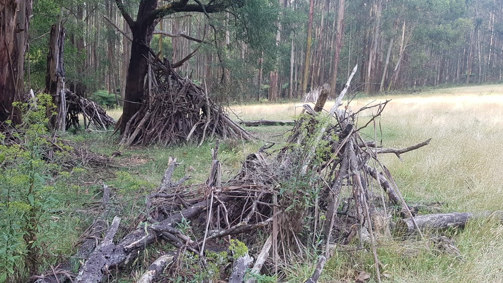 Brendons corner | park | Neuman Track, Kallista VIC 3791, Australia