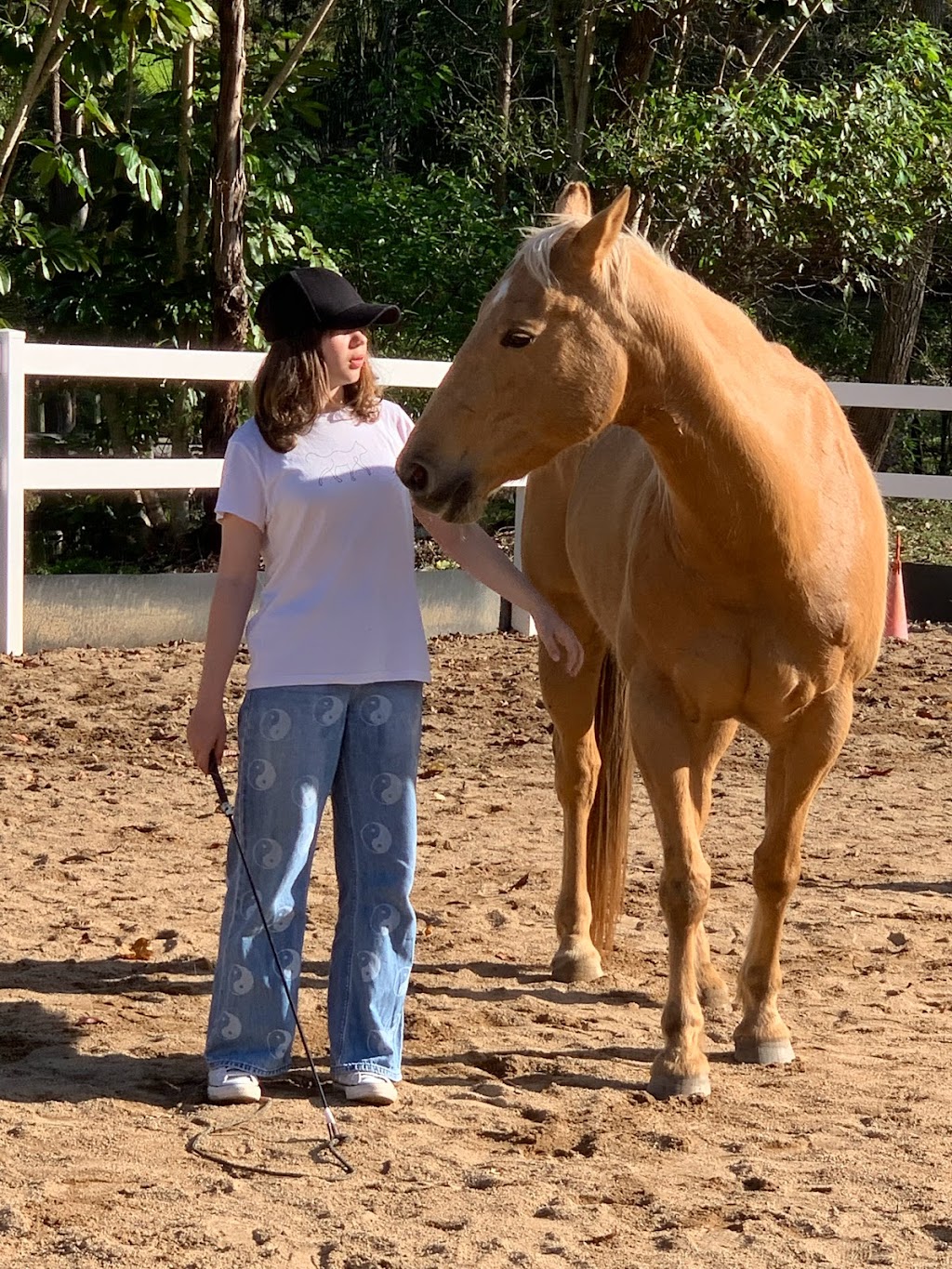 Equine Connect | 8 Andersen Rd, Mooloolah Valley QLD 4553, Australia | Phone: 0478 661 826