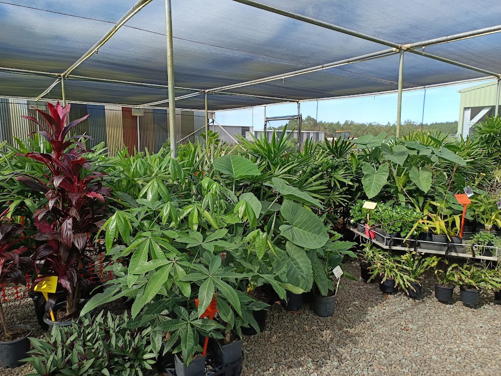 Rutters Road Nursery -Wholesale Only | 196 Rutters Rd, Elimbah QLD 4516, Australia | Phone: 0416 122 857