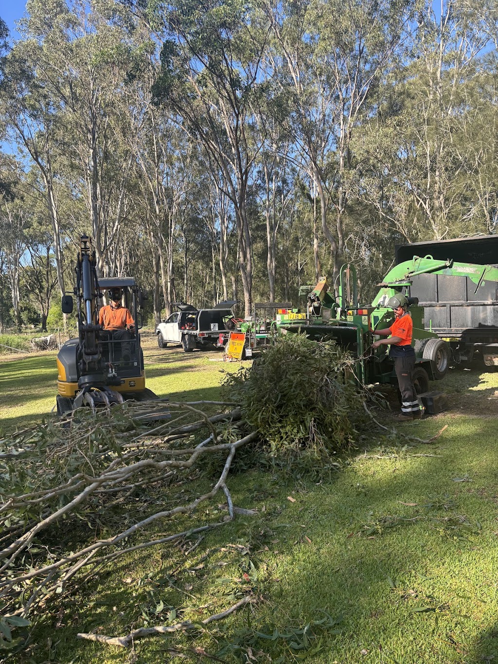 Espie Arb Tree Services | 286 Ocean Dr, Lakewood NSW 2443, Australia | Phone: 0423 329 111