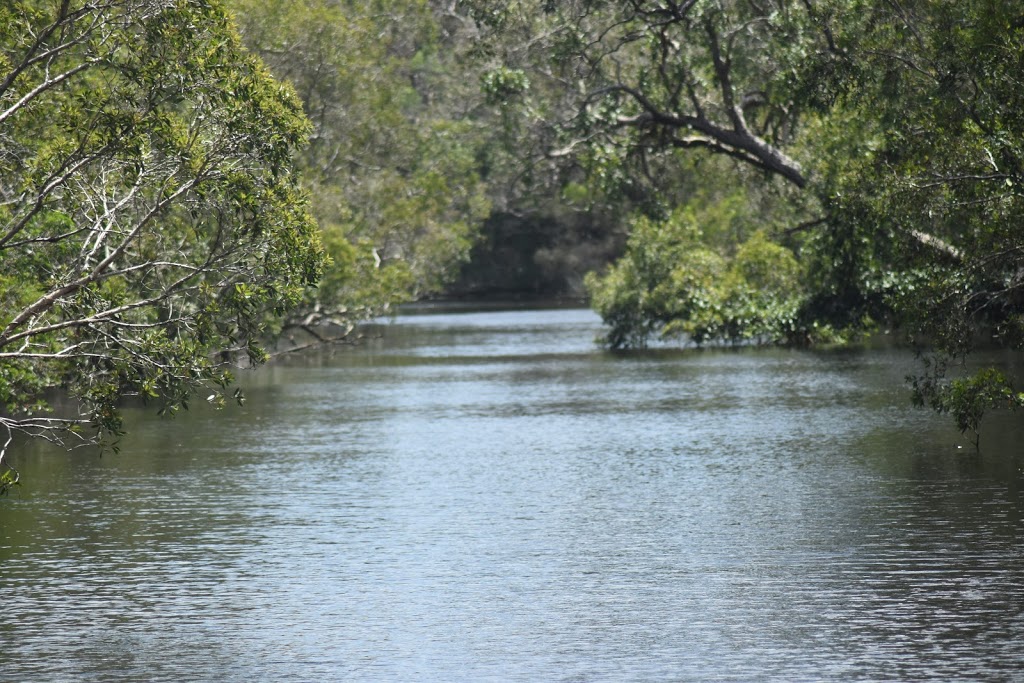 Beechs Brook Rainforest Retreat | 91 Kildeys Rd, Cootharaba QLD 4565, Australia | Phone: (07) 5485 3376