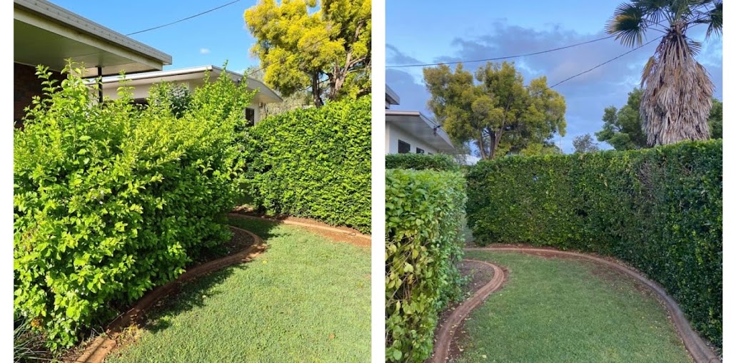 Zeno Lawn Care |  | 1 Florence St, Kingaroy QLD 4610, Australia | 0449745795 OR +61 449 745 795