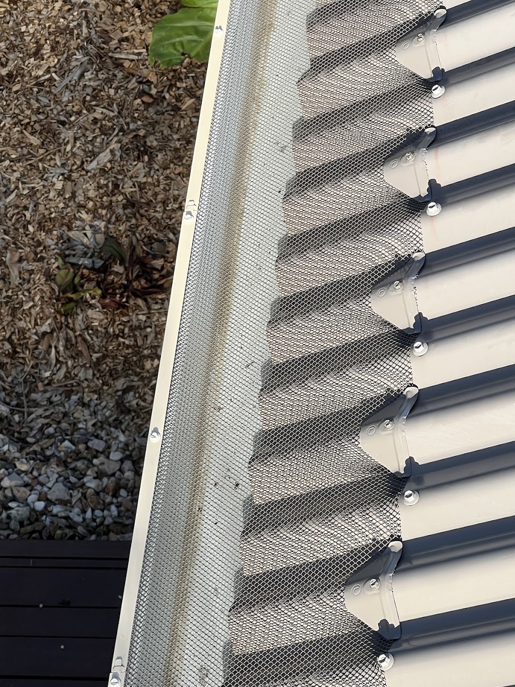Essential Pest Solutions - Pest Control Geelong | 44/3 Dyson Ct, Breakwater VIC 3219, Australia | Phone: 0438 422 580