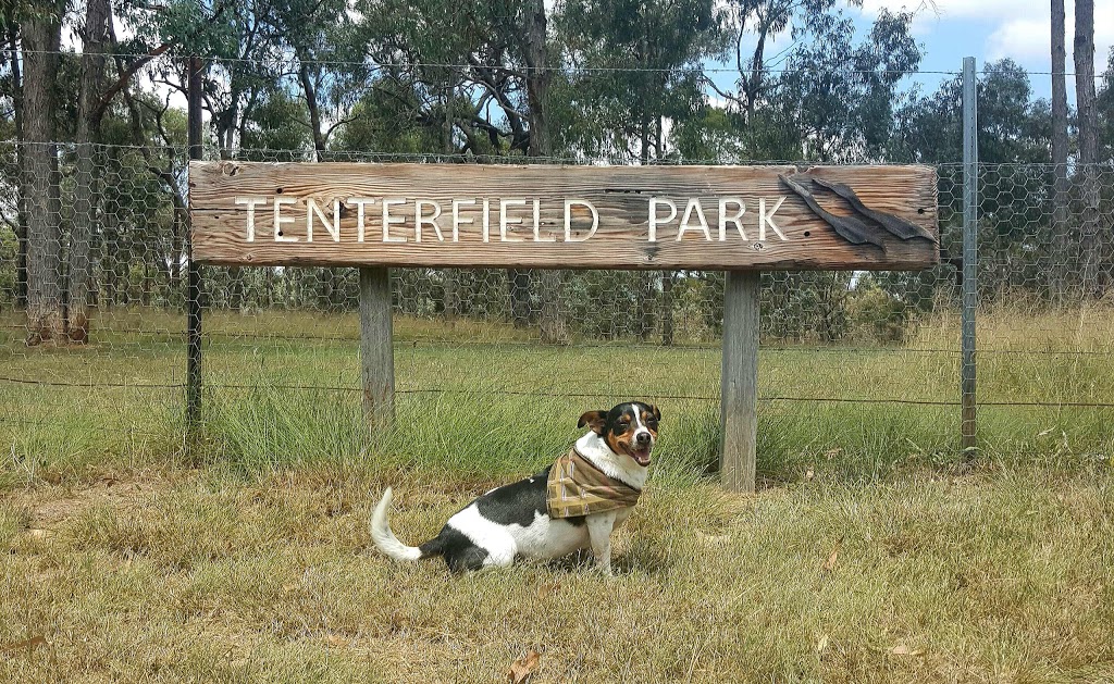 Tenterfield Park (Dog Park) | Tenterfield NSW 2372, Australia