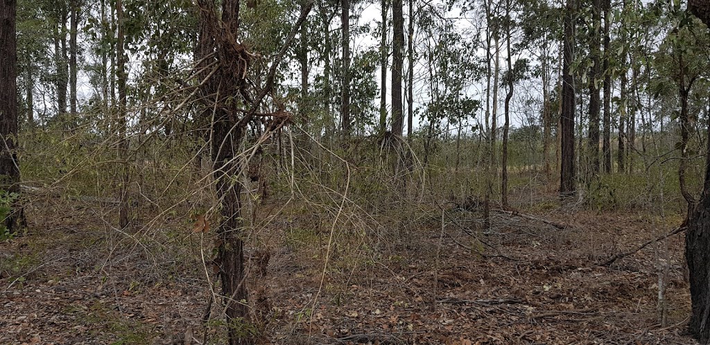 Lavelle Lagoon Community Bushcare Group | Argyle Rd, Greenbank QLD 4124, Australia | Phone: 0466 542 275