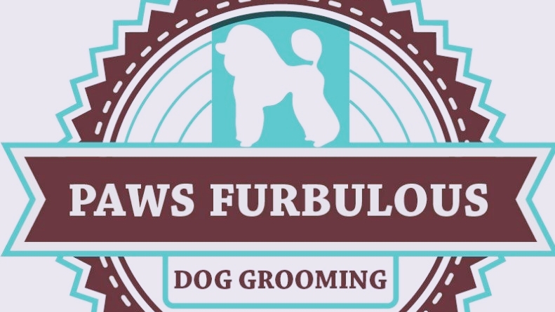 Paws Furbulous Professional Dog Grooming and Minding | 77 Megalong St, The Ponds NSW 2769, Australia | Phone: 0433 889 855