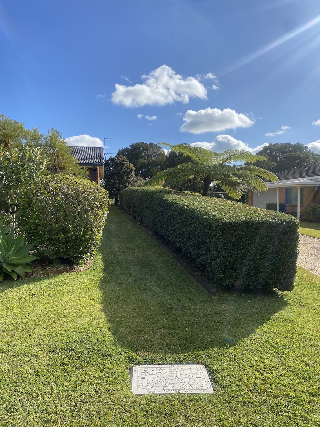 Plateau Grass & Gardens | 47 Alston Ave, Alstonville NSW 2477, Australia | Phone: 0405 108 238 Plateau Grass & Gardens | 47 Alston Ave, Alstonville NSW 2477, Australia | Phone: 0405 108 238