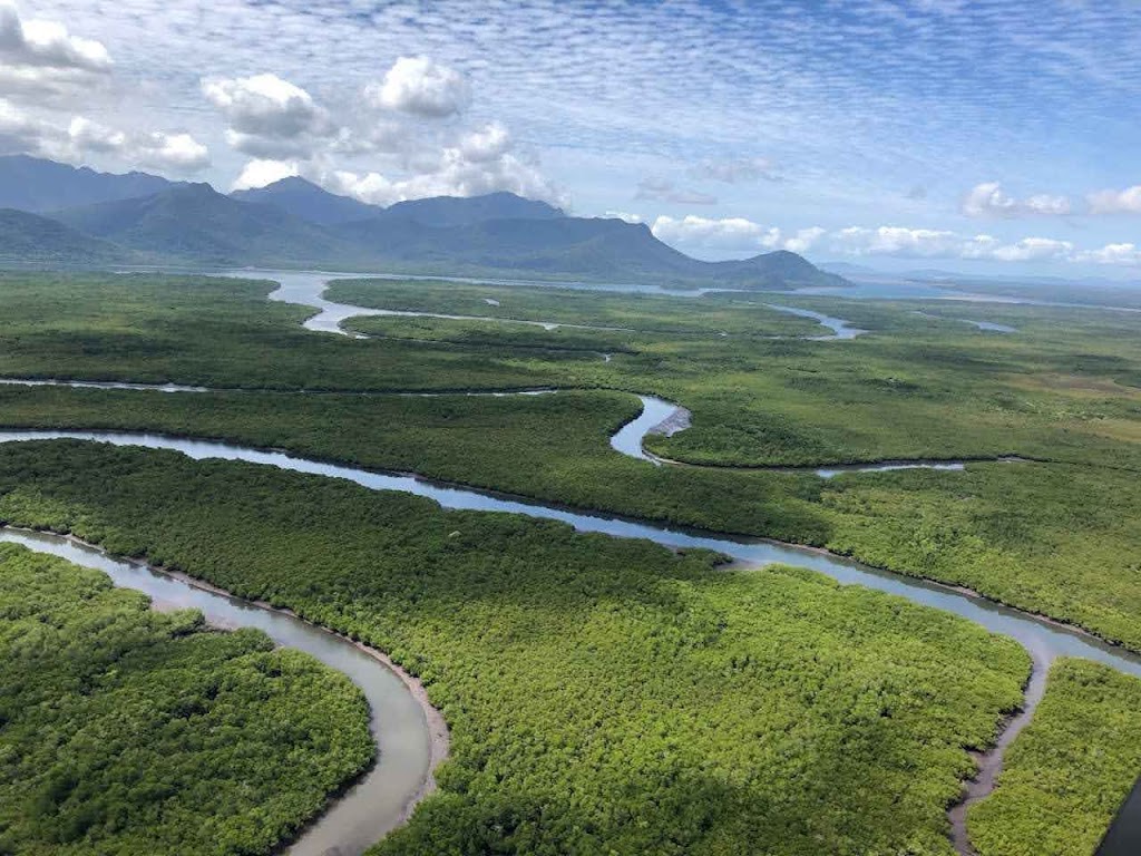 Hinchinbrook Island Ferry | 3 Commercial Drive, Cardwell QLD 4849, Australia | Phone: 0414 869 918