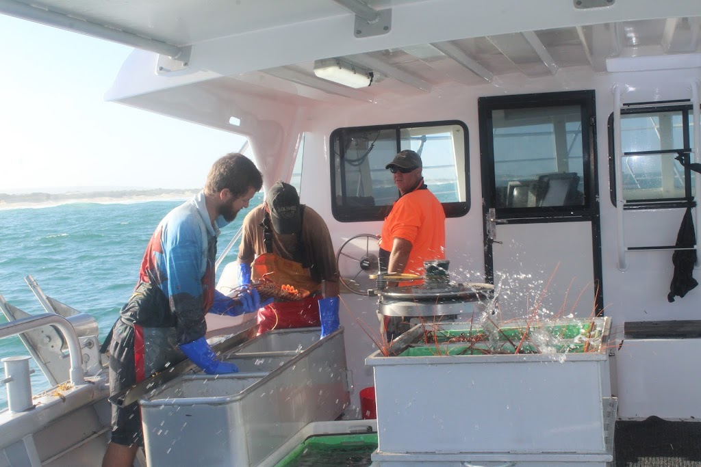 Kalbarri Offshore Adventures | 160 Grey St, Kalbarri WA 6536, Australia | Phone: 0427 010 976
